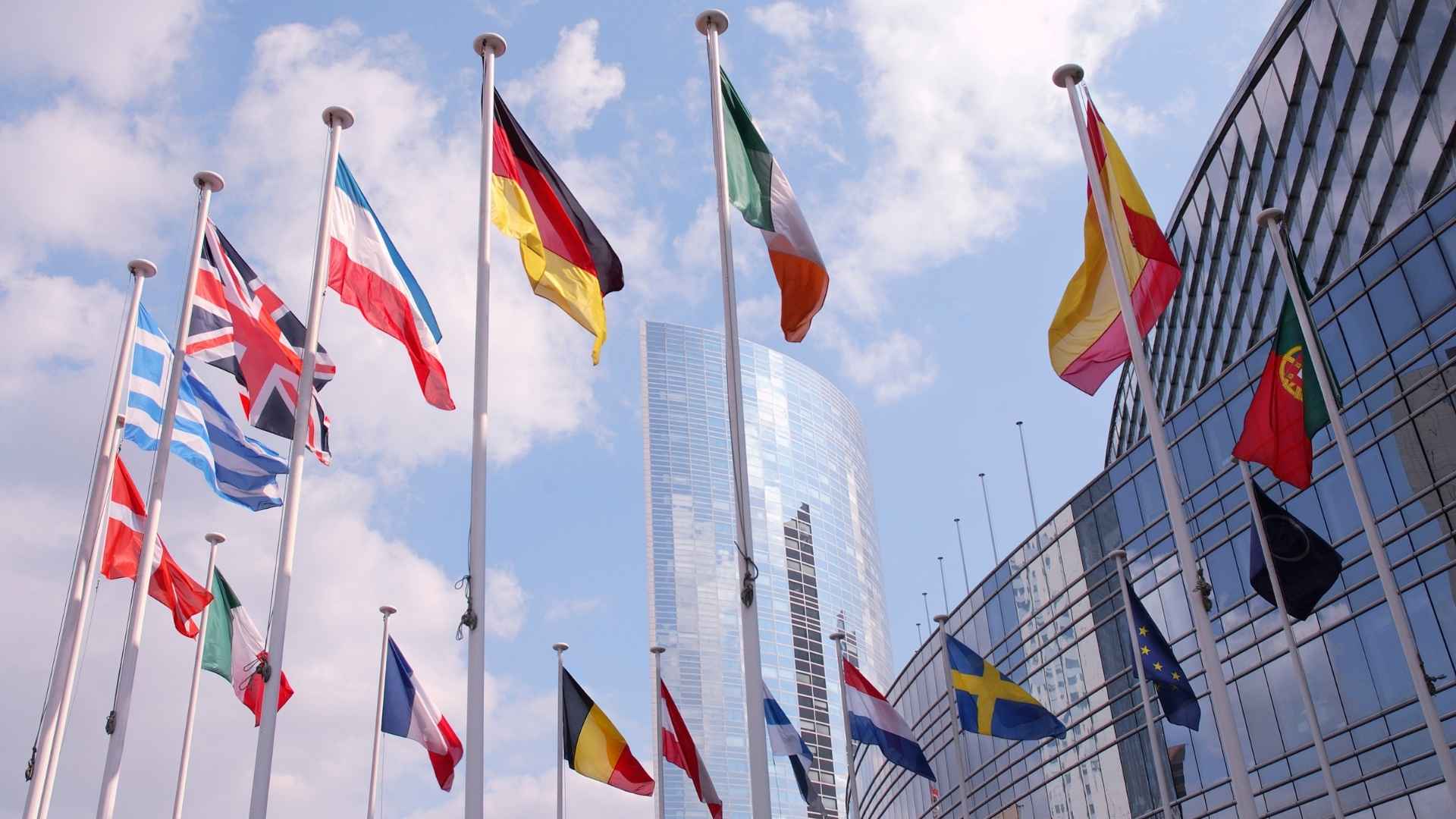 linguistic democracy